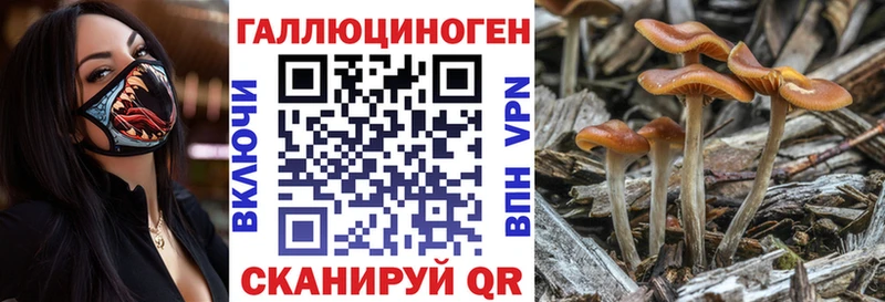 KRAKEN ссылка  Афипский  Псилоцибиновые грибы MAGIC MUSHROOMS 